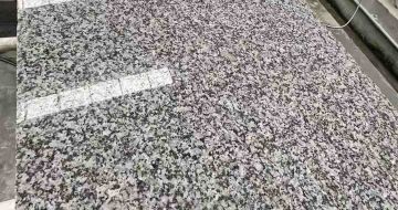 咸阳 芙蓉白光面