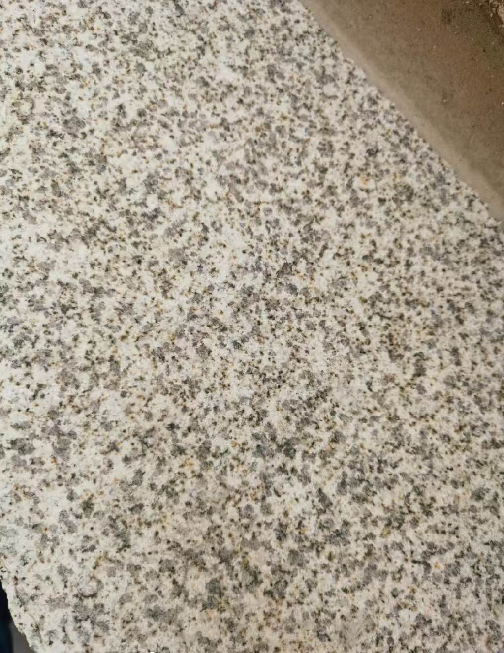 咸阳 黄金麻中黄光面