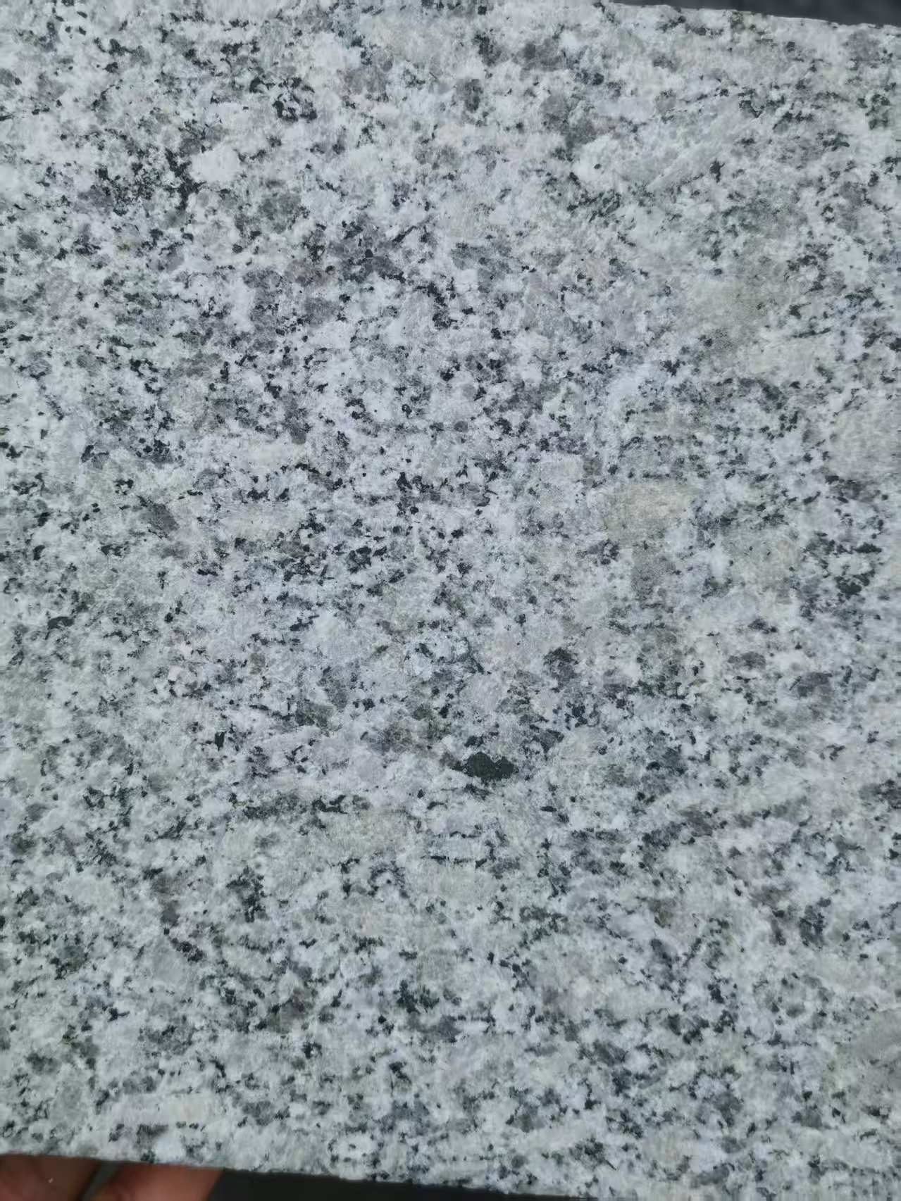 咸阳 芙蓉白火烧面